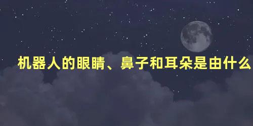 机器人的眼睛、鼻子和耳朵是由什么构成的