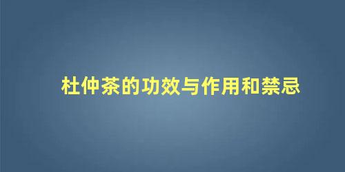 杜仲茶的功效与作用和禁忌