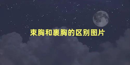 束胸和裹胸的区别图片