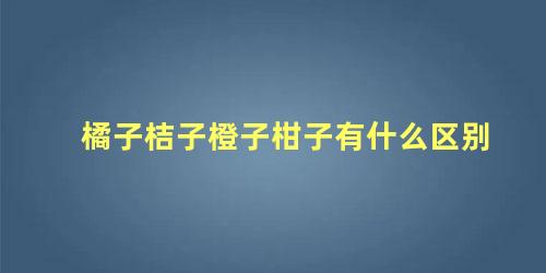 橘子桔子橙子柑子有什么区别