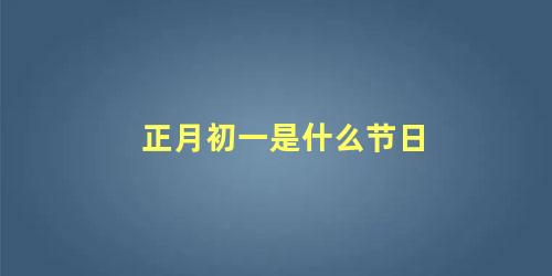 正月初一是什么节日