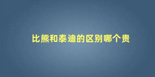 比熊和泰迪的区别哪个贵