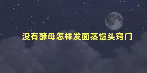 没有酵母怎样发面蒸馒头窍门