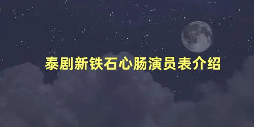 泰剧新铁石心肠演员表介绍