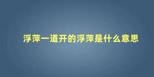 浮萍一道开的浮萍是什么意思