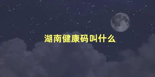 湖南健康码叫什么