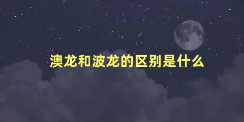 澳龙和波龙的区别是什么