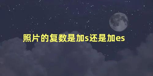 照片的复数是加s还是加es