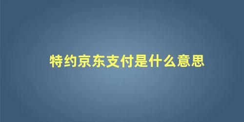 特约京东支付是什么意思