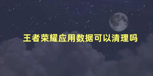 王者荣耀应用数据可以清理吗