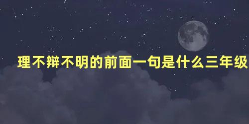 理不辩不明的前面一句是什么三年级