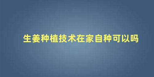 生姜种植技术在家自种可以吗