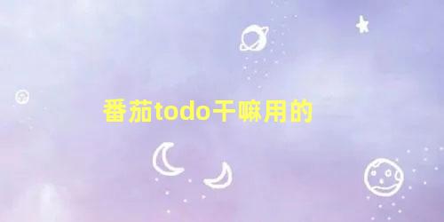 番茄todo干嘛用的