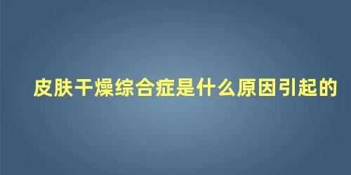 皮肤干燥综合症是什么原因引起的