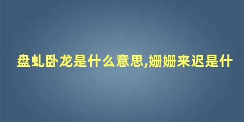 盘虬卧龙是什么意思,姗姗来迟是什么意思