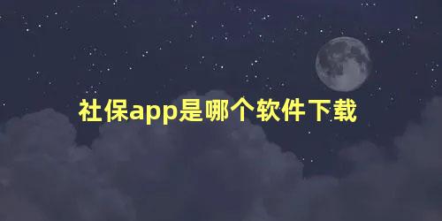 社保app是哪个软件下载