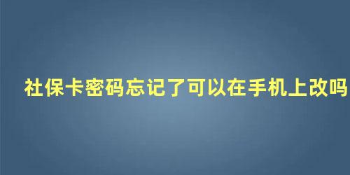 社保卡密码忘记了可以在手机上改吗怎么改