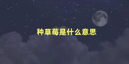 种草莓是什么意思