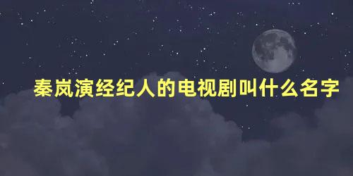 秦岚演经纪人的电视剧叫什么名字