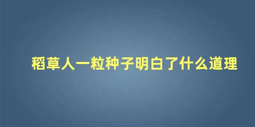 稻草人一粒种子明白了什么道理