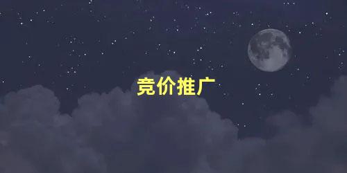 竞价推广