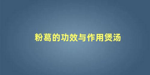 粉葛的功效与作用煲汤