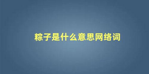 粽子是什么意思网络词