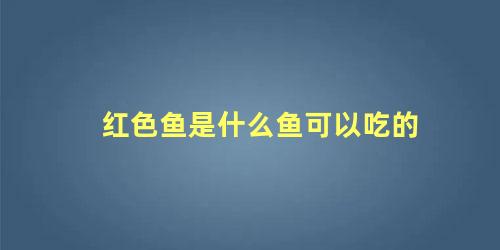 红色鱼是什么鱼可以吃的