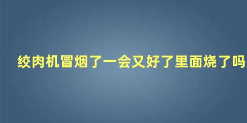 绞肉机冒烟了一会又好了里面烧了吗