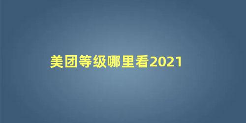 美团等级哪里看2021