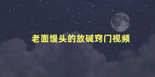 老面馒头的放碱窍门视频