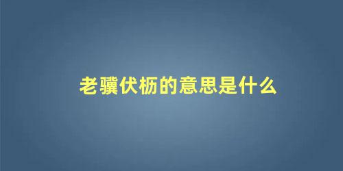 老骥伏枥的意思是什么