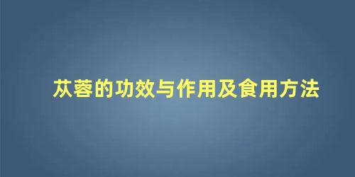 苁蓉的功效与作用及食用方法