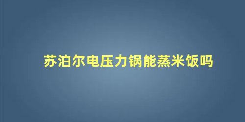 苏泊尔电压力锅能蒸米饭吗