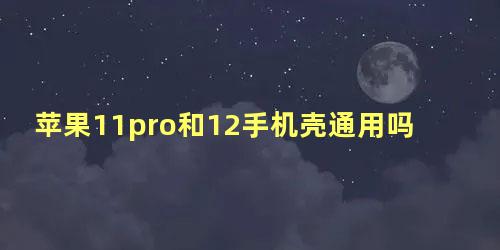 苹果11pro和12手机壳通用吗