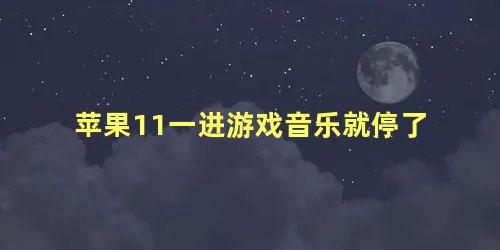 苹果11一进游戏音乐就停了