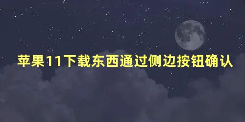 苹果11下载东西通过侧边按钮确认怎么弄