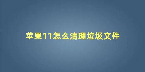 苹果11怎么清理垃圾文件