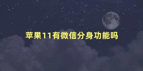 苹果11有微信分身功能吗