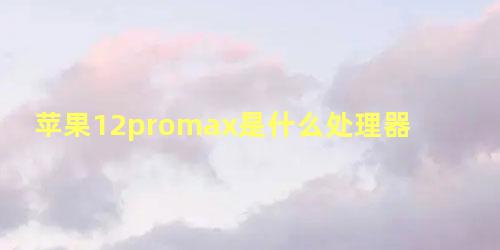 苹果12promax是什么处理器