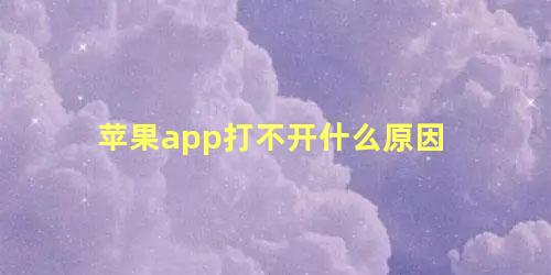 苹果app打不开什么原因