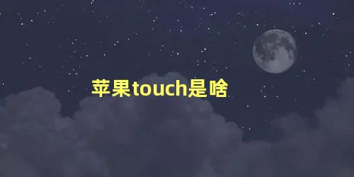 苹果touch是啥