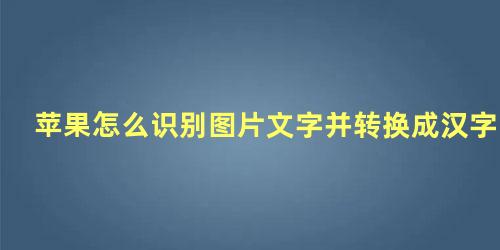 苹果怎么识别图片文字并转换成汉字