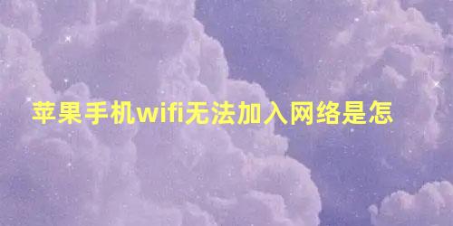 苹果手机wifi无法加入网络是怎么回事别人都能连上