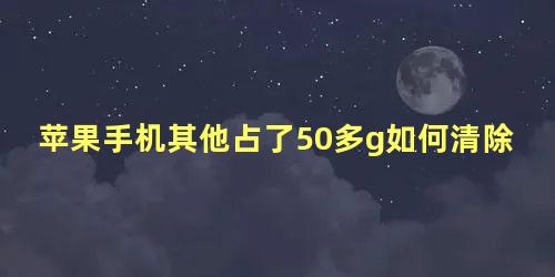 苹果手机其他占了50多g如何清除缓存