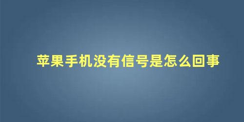 苹果手机没有信号是怎么回事