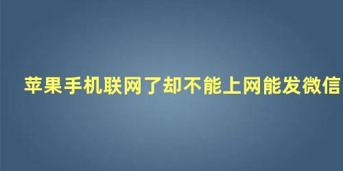 苹果手机联网了却不能上网能发微信