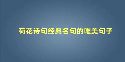 荷花诗句经典名句的唯美句子