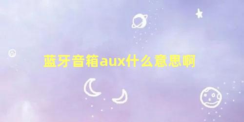 蓝牙音箱aux什么意思啊