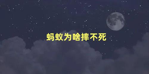 蚂蚁为啥摔不死